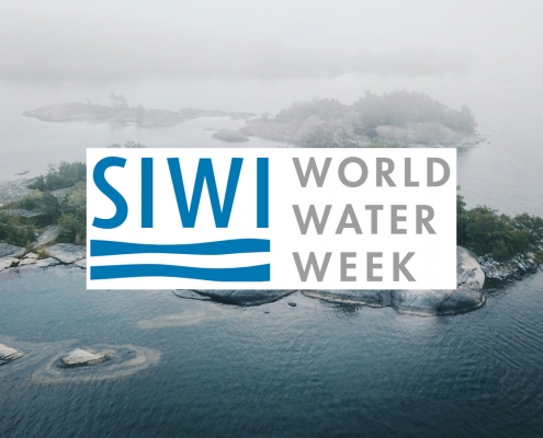 Dünya Su Haftası