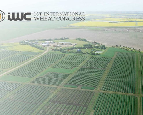 Uluslararası Buğday Kongresi